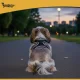 Purlov 26870 No-Pull Harness for Dogs and Cats, Size M