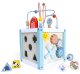 Ecotoys 1020 Wooden Educational Cube with Sorter and Blocks