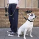 Purlov Reflective Dog Training Leash, 5m, Black
