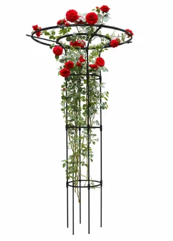 Vertical Garden Pergola / Flower Stand U14D, 215 cm