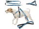 Adjustable Leash with Harness for Dogs and Cats, Size M