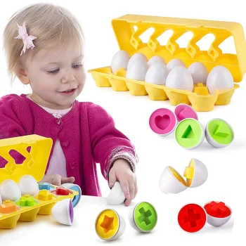 Montessori Egg Sorter Puzzle Educational Toy