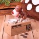 Choken Bako Battery Operated Piggy Bank Money Box, Dog Stealing Coins