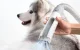 Grooming vacuum cleaner from hair for pet care HomeRunPet HC15, white