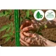 Plonos PL-940 Plant Supports 150 cm, Green, 10 pcs