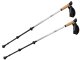 Adjustable Nordic Walking and Trekking Poles, Silver