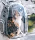 Pet Carrier Backpack for Cats and Dogs, Grey
