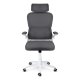 Ergonomic Mesh Office Chair Sofotel Formax, Graphite
