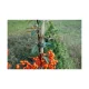 Small Plastic Plant Clips, 10 pcs, Green