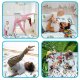Izglītojošs sarullējams bērnu putu paklājs Nukido NK-342 | Kids Roll-up Foam Mat