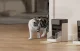 Petlibro RFID Smart Food Dispenser with Collar 3L - Automatic Feeder
