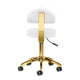 Activeshop AM-304G Cosmetic Stool White/Gold