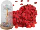 Eternal Rose in Glass Dome with LED Lighting