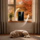 Berdsen BD-861 Automatic Dehumidifier with Remote Control