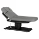 Electric SPA Treatment Bed Sillon Relax, Grey with Dark Wood Base
