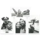 Easypix InstantFUN Instant Camera White