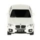 RC Car Model with Remote, BMW X6 (1:24)