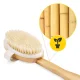 4FIZJO 2-in-1 Dry Massage and Bath Body Brush