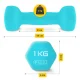4FIZJO Cast Iron Dumbbell Set with Stand, 12 kg