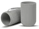 Travel Toothbrush and Toothpaste Case 27158_SZ, Grey