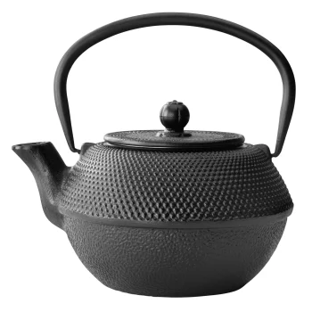 Bredemeijer Jang Cast Iron Teapot with Filter 1.1L, Black (G002Z)