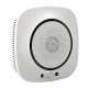 MOES WSS-S-GL Wi-Fi Gas Leak Detector