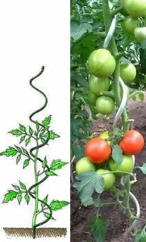 Spiral plant support pole, 180 cm / 11 mm, green