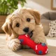 Squeaky Dog Toy Dumbbell, 13 cm, Red