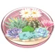 Popsockets 2 Bulbasaur Terrarium Holder and Phone Stand