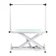 Electric Grooming Table P4W 3 with LED Backlight, White