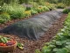 DIVODV Anti-Weed Landscape Fabric 50g/m² 1.5m x 50m, Black