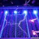 Elektrinė UV lempa nuo uodų ir musių, įkraunama