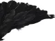 Feather Angel Wings Black Fairy Tale Costume Cosplay Halloween Disguise