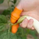Silicone Thumb Guard with Blade + 5 Finger Protectors