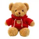 Plush Teddy Bear in Sweater 40cm