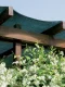 JAMAICA Screening Woven Shade Net 90 g/m², 2 x 10 m, Green
