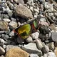 Trizand Polarized Sports Sunglasses Outdoor Sports Cycling Glasses UV400, Orange