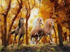 Dimantu Mozaīkas Komplekts Rokdarbs Glezna 5D Skrejošie Zirgi 40x30 cm | Diamond Mosaic Embroidery Kit Painting Running Horses