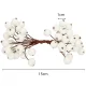 Frosted White Rowan Berries for Christmas Decoration, 5 pcs