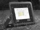 LED Floodlight 10W 6000K Outdoor Waterproof IP66