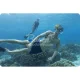 Bestway 25020 Snorkeling Set (Mask, Snorkel, Fins 41-46), Black