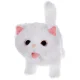 Interactive White Cat