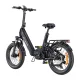 ENGWE L20 3.0 Pro 250W 20\" Folding Electric Bike, Black