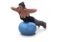 Massage Gym Ball 55cm with Pump for Exercise and Fitness, Silver