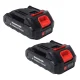21V Cordless Mini Chainsaw with Brushless Motor, 2 Batteries and Case