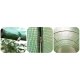 Plēves siltumnīca 3x2m (6m²) Plonos dārza augiem