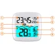 Berdsen BD-913 Wireless Weather Station with Pool Sensor, White