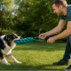 Braided Dog Rope Toy for Tugging and Fetching, 29 cm
