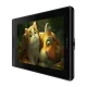 Huion Kamvas Pro 13 GT133 Graphics Tablet