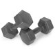 Hex dumbbell set 2×2 kg for home workouts ModernHome, grey